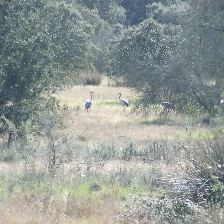 Apartment El Chorrillo By Interhome