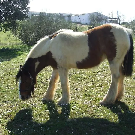 El Chorrillo By Interhome Apartment *
