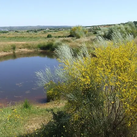 El Chorrillo By Interhome Apartment *