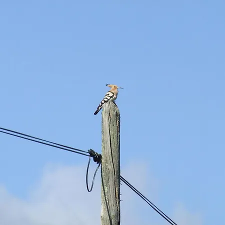 El Chorrillo By Interhome Alcuéscar