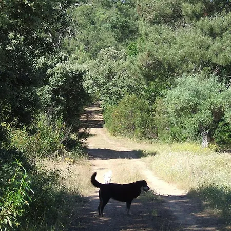 Apartment El Chorrillo By Interhome