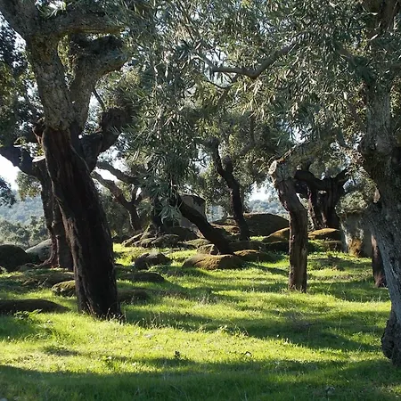 Apartment El Chorrillo By Interhome