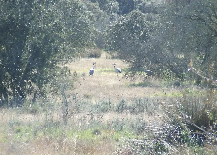 Апартаменты El Chorrillo By Interhome