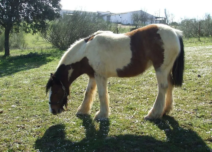 El Chorrillo By Interhome Апартаменты *