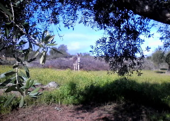 El Chorrillo By Interhome *