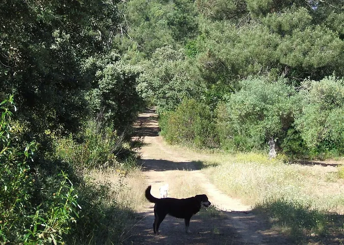 Апартаменты El Chorrillo By Interhome