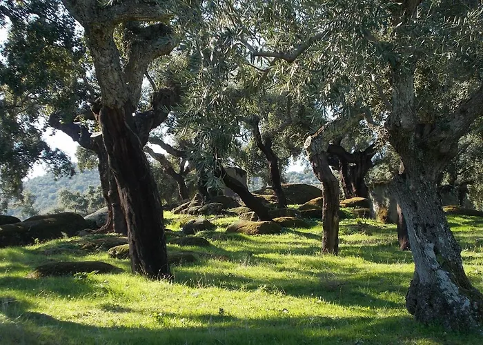 Апартаменты El Chorrillo By Interhome